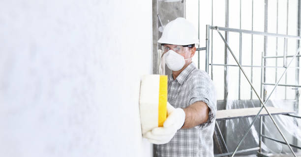 Best Basement Mold Removal in Northridge, OH