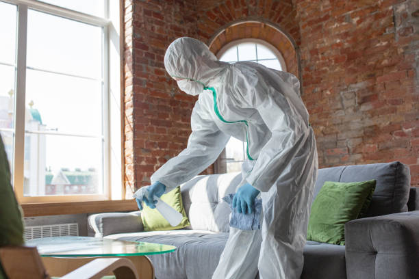 Professional Mold Removal in Northridge, OH